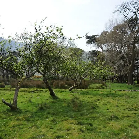 Campsite Lough Na Fooey Camping *